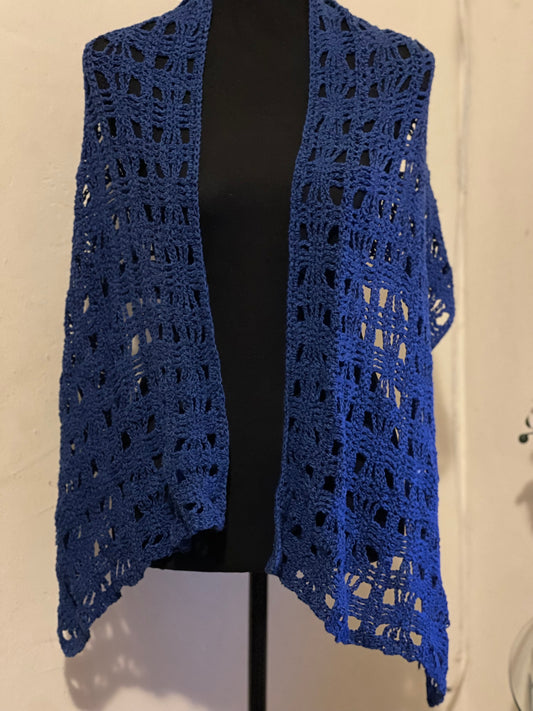 Blue Shawl